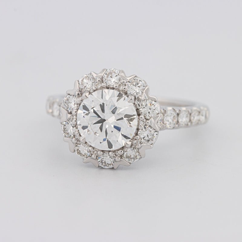 1.50 CT Round Cut Halo Pavé Solitaire (LG) - ZIZOV DIAMONDS