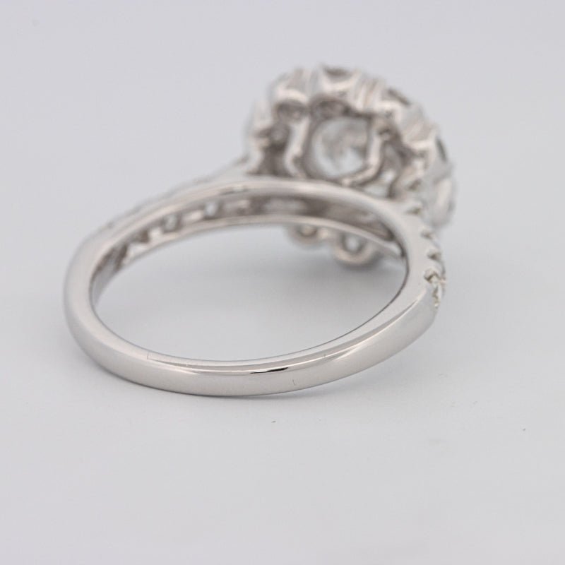 1.50 CT Round Cut Halo Pavé Solitaire (LG) - ZIZOV DIAMONDS