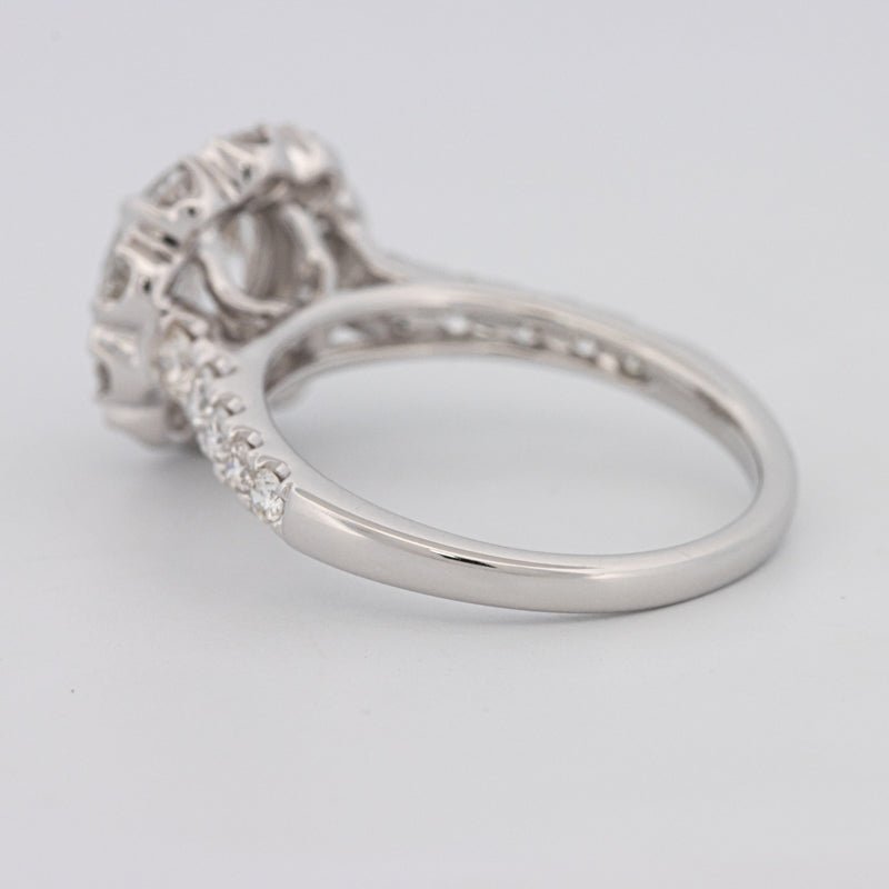 1.50 CT Round Cut Halo Pavé Solitaire (LG) - ZIZOV DIAMONDS