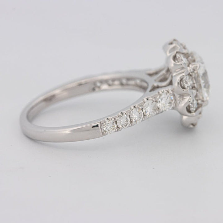 1.50 CT Round Cut Halo Pavé Solitaire (LG) - ZIZOV DIAMONDS