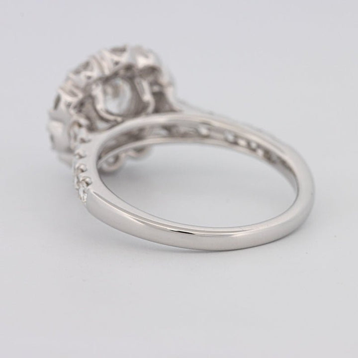 1.50 CT Round Cut Halo Pavé Solitaire (LG) - ZIZOV DIAMONDS
