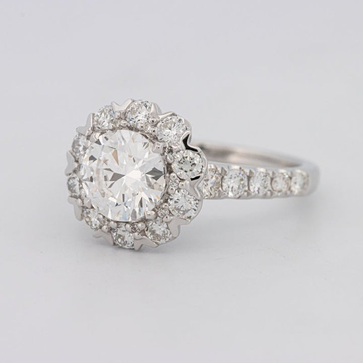 1.50 CT Round Cut Halo Pavé Solitaire (LG) - ZIZOV DIAMONDS