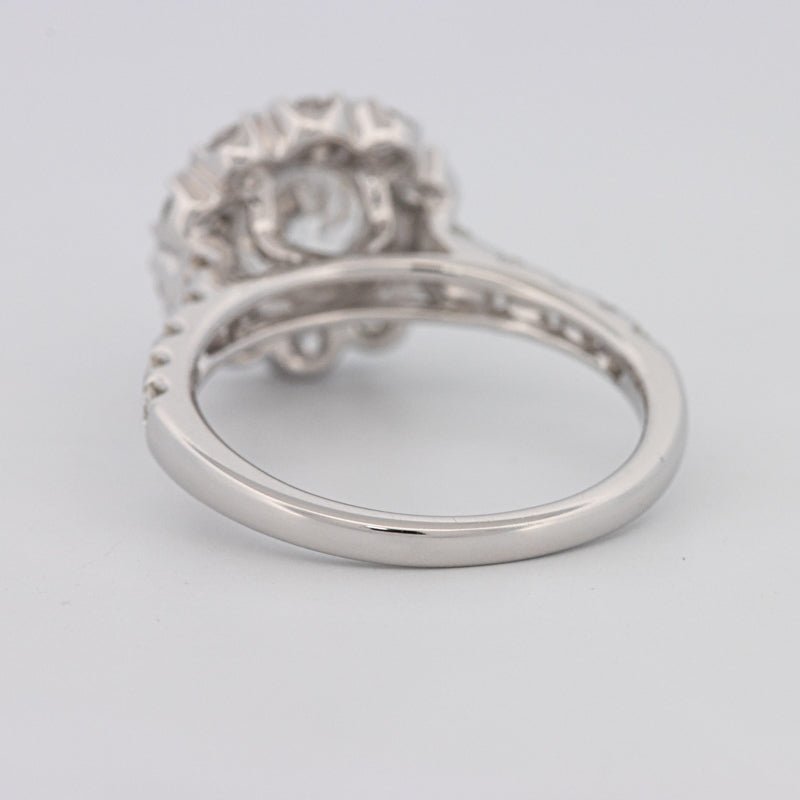 1.50 CT Round Cut Halo Pavé Solitaire (LG) - ZIZOV DIAMONDS