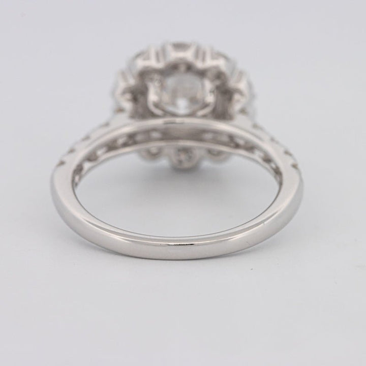1.50 CT Round Cut Halo Pavé Solitaire (LG) - ZIZOV DIAMONDS