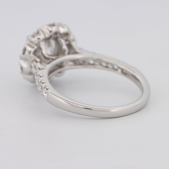 1.50 CT Round Cut Halo Pavé Solitaire (LG) - ZIZOV DIAMONDS