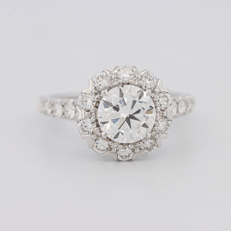 1.50 CT Round Cut Halo Pavé Solitaire (LG) - ZIZOV DIAMONDS