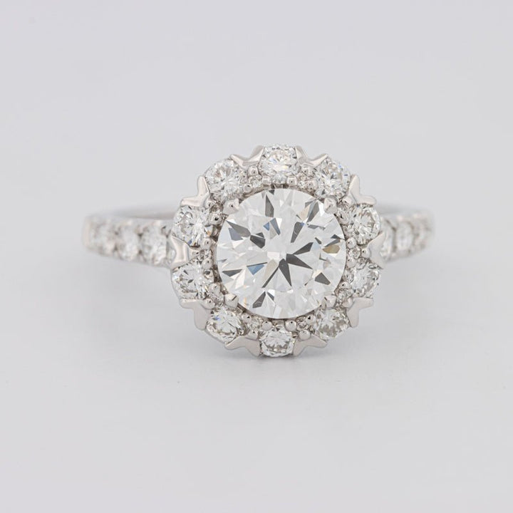 1.50 CT Round Cut Halo Pavé Solitaire (LG) - ZIZOV DIAMONDS