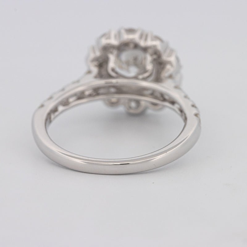 1.50 CT Round Cut Halo Pavé Solitaire (LG) - ZIZOV DIAMONDS