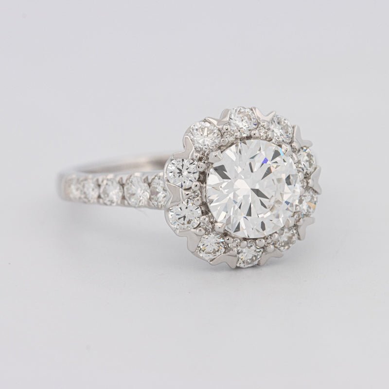 1.50 CT Round Cut Halo Pavé Solitaire (LG) - ZIZOV DIAMONDS