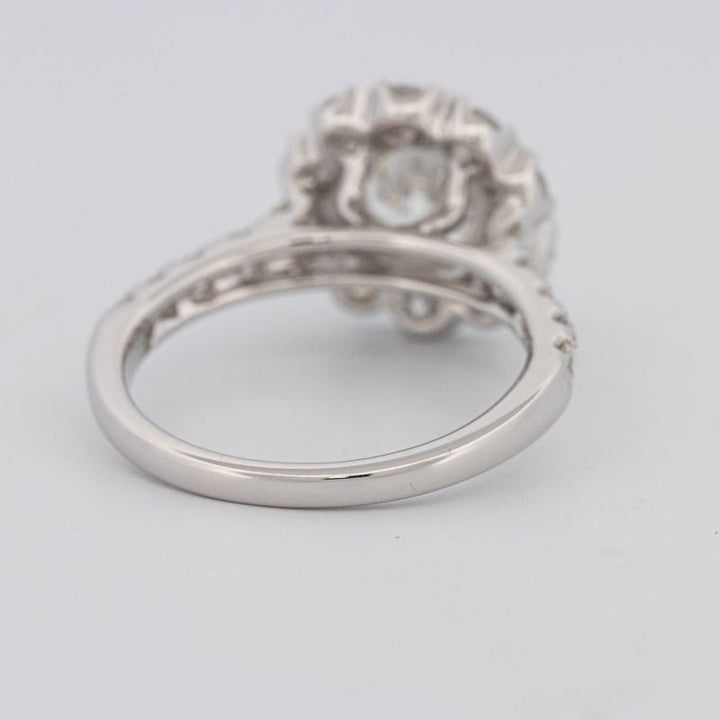 1.50 CT Round Cut Halo Pavé Solitaire (LG) - ZIZOV DIAMONDS