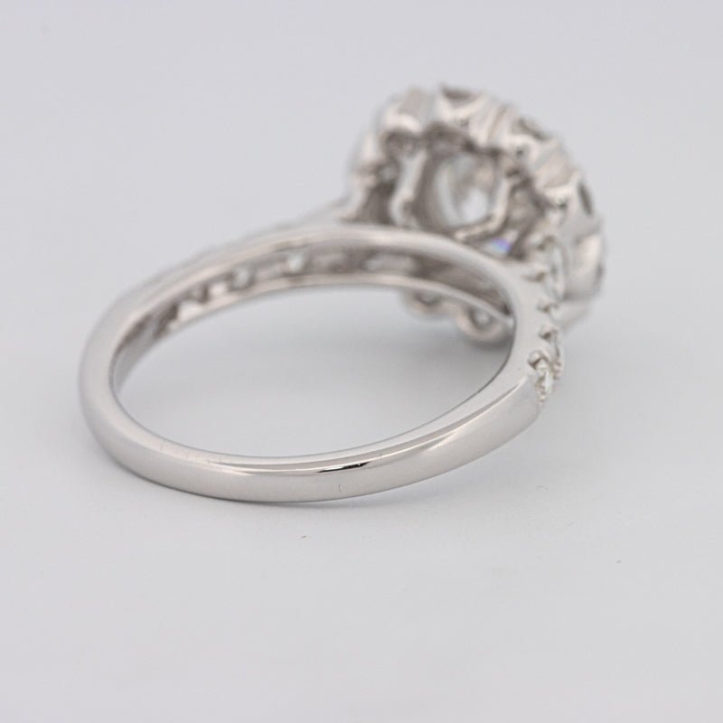 1.50 CT Round Cut Halo Pavé Solitaire (LG) - ZIZOV DIAMONDS