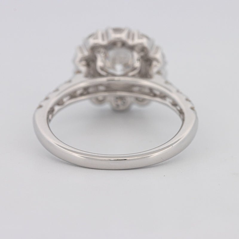 1.50 CT Round Cut Halo Pavé Solitaire (LG) - ZIZOV DIAMONDS