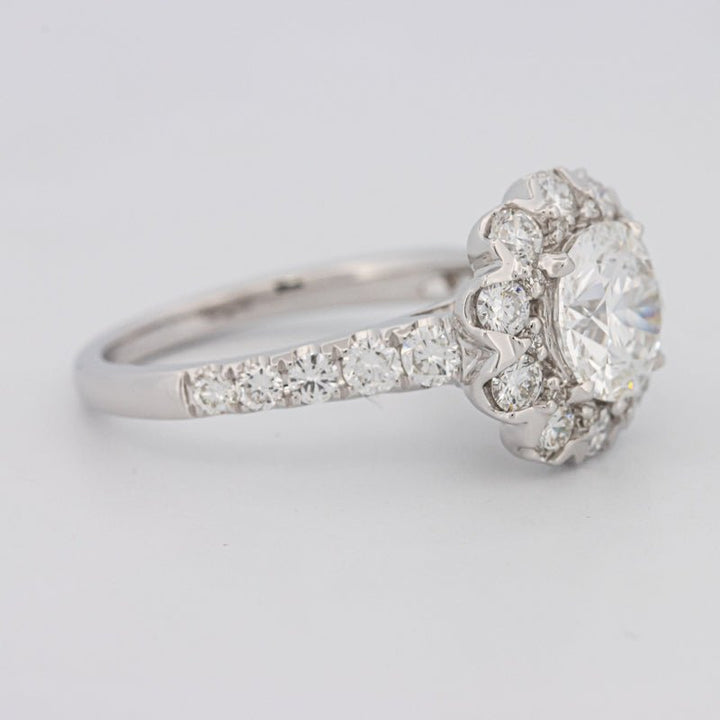 1.50 CT Round Cut Halo Pavé Solitaire (LG) - ZIZOV DIAMONDS