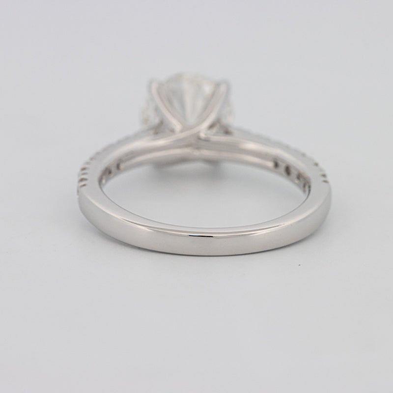 1.50 CT Round Solitaire Pavé (LG) - ZIZOV DIAMONDS