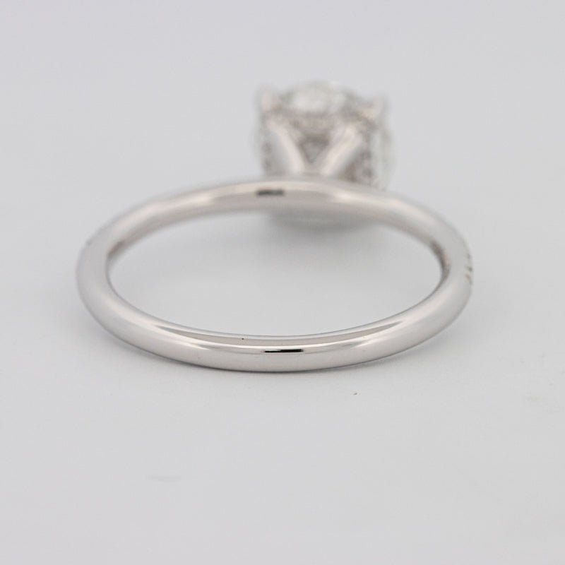 1.50 CT Under - Halo Brilliant Cut Pavé Solitaire (LG) - ZIZOV DIAMONDS