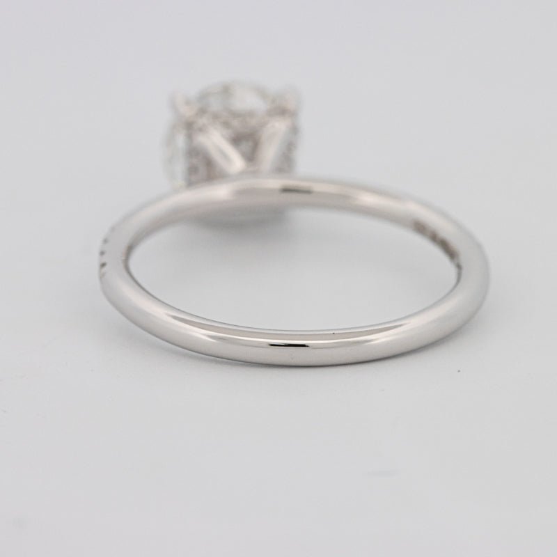 1.50 CT Under - Halo Brilliant Cut Pavé Solitaire (LG) - ZIZOV DIAMONDS