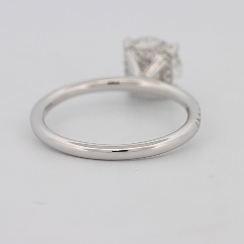 1.50 CT Under - Halo Brilliant Cut Pavé Solitaire (LG) - ZIZOV DIAMONDS