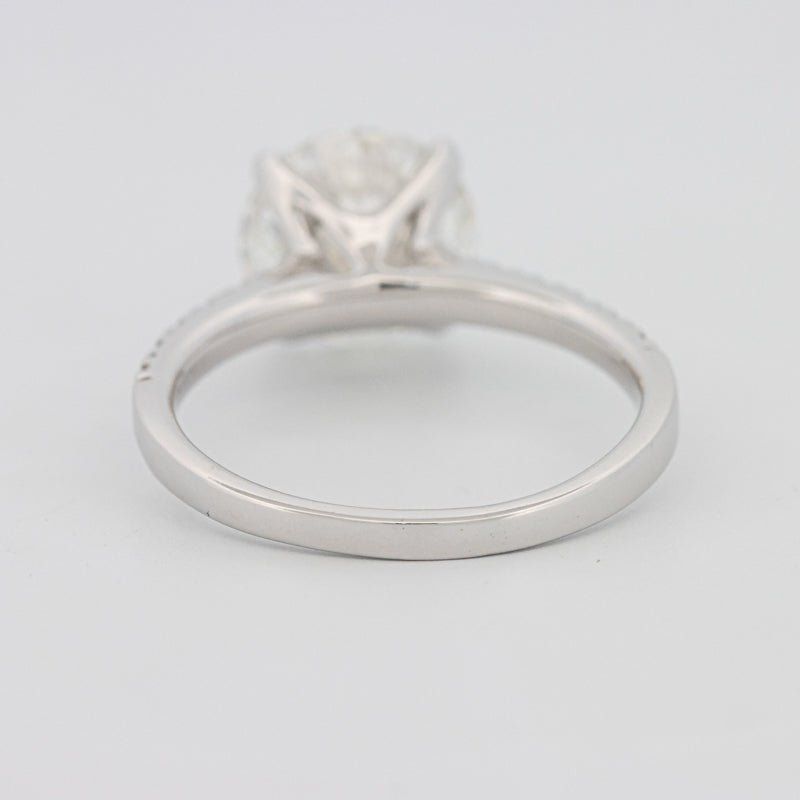 2.50 CT Round Solitaire Pavé (LG) - ZIZOV DIAMONDS