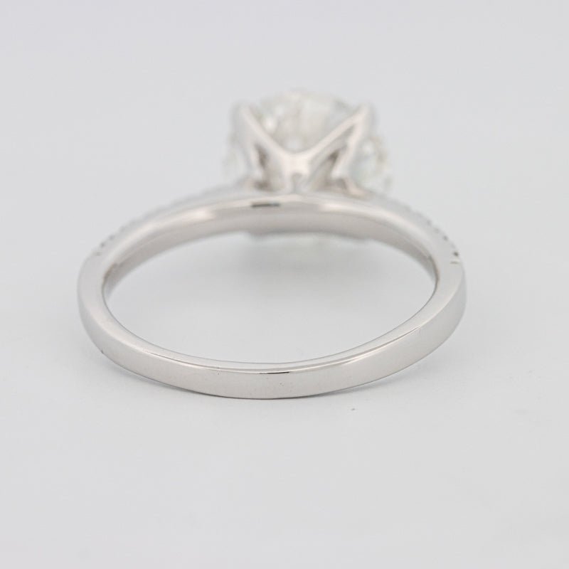 2.50 CT Round Solitaire Pavé (LG) - ZIZOV DIAMONDS