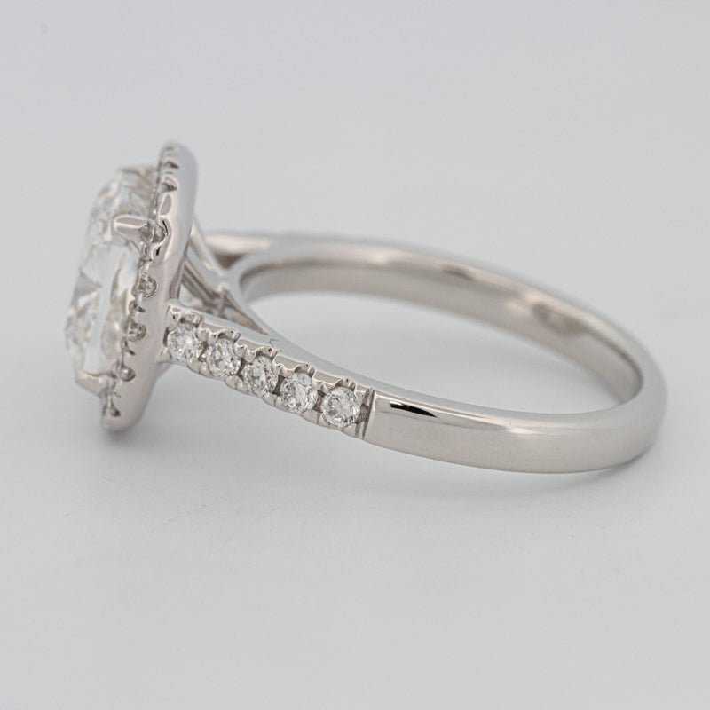 3 CT Cushion Cut Halo Pavé Solitaire (LG) - ZIZOV DIAMONDS