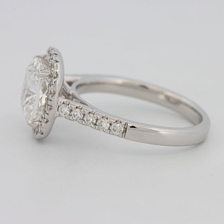 3 CT Cushion Cut Halo Pavé Solitaire (LG) - ZIZOV DIAMONDS