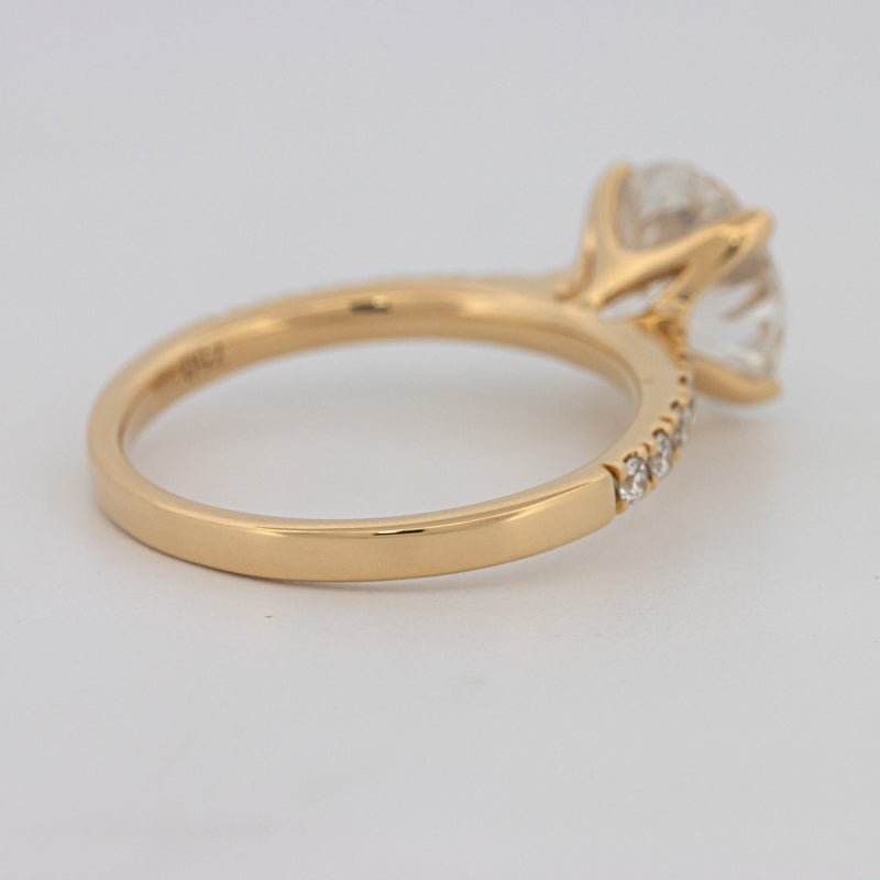 3 CT Round Solitaire Pavé (LG) - ZIZOV DIAMONDS