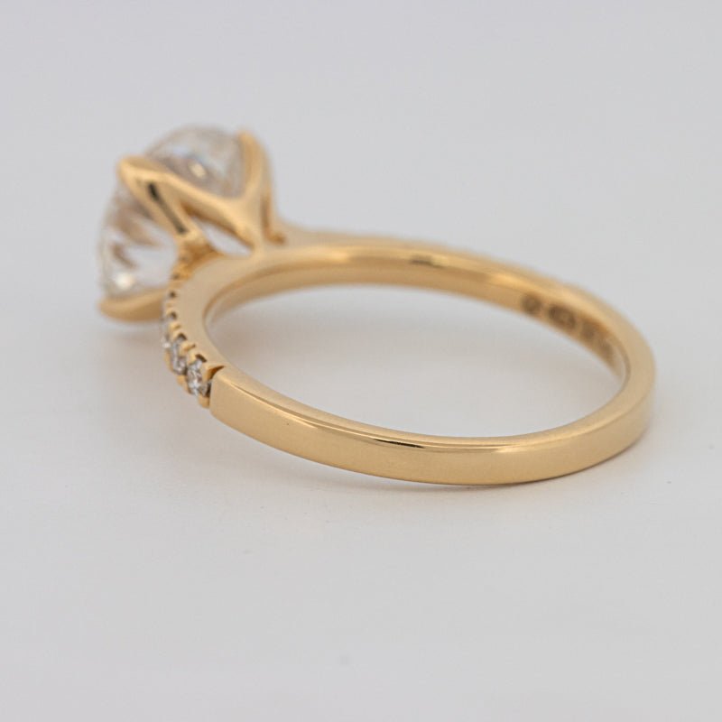 3 CT Round Solitaire Pavé (LG) - ZIZOV DIAMONDS