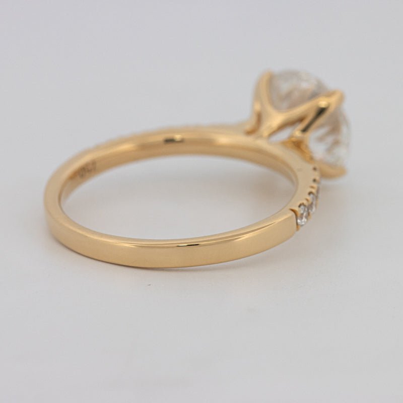 3 CT Round Solitaire Pavé (LG) - ZIZOV DIAMONDS