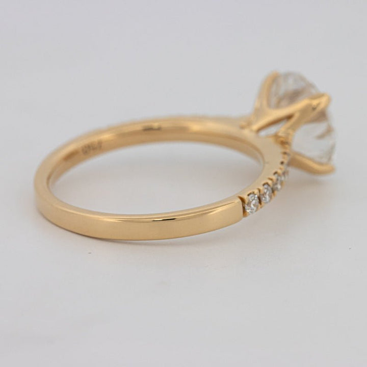 3 CT Round Solitaire Pavé (LG) - ZIZOV DIAMONDS