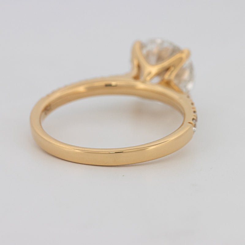 3 CT Round Solitaire Pavé (LG) - ZIZOV DIAMONDS