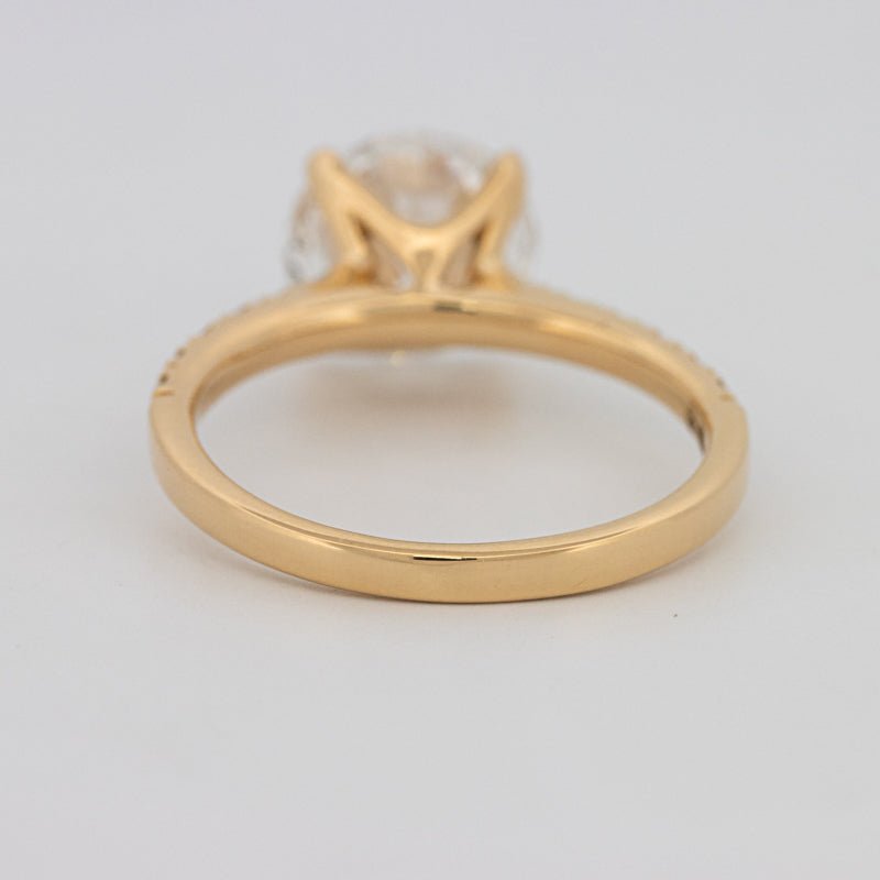 3 CT Round Solitaire Pavé (LG) - ZIZOV DIAMONDS