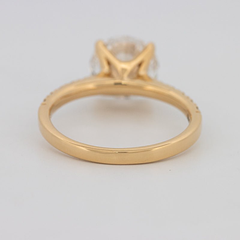 3 CT Round Solitaire Pavé (LG) - ZIZOV DIAMONDS