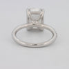3.50 CT Cushion Cut Pavé Solitaire (LG) - ZIZOV DIAMONDS