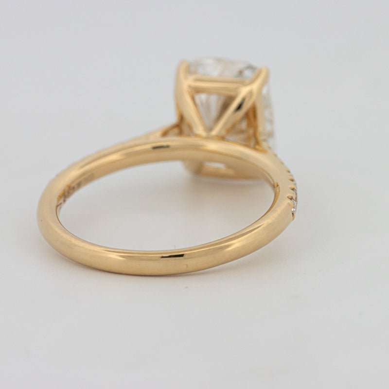 3.50 CT Cushion Cut Pavé Solitaire (LG) - ZIZOV DIAMONDS