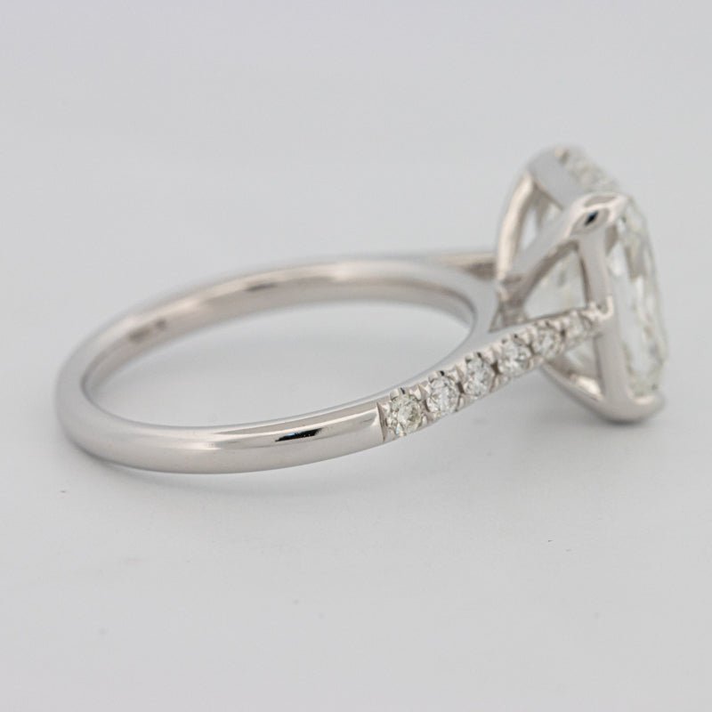 4 CT Cushion Pavé Solitaire (LG) - ZIZOV DIAMONDS