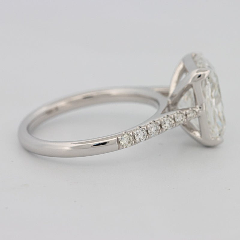 4 CT Cushion Pavé Solitaire (LG) - ZIZOV DIAMONDS