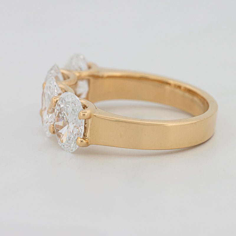 4 Half Oval Floating Eternity Ring (LG) - ZIZOV DIAMONDS