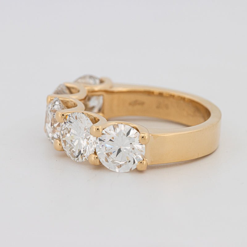 5 Half Round Floating Eternity Ring (LG) - ZIZOV DIAMONDS