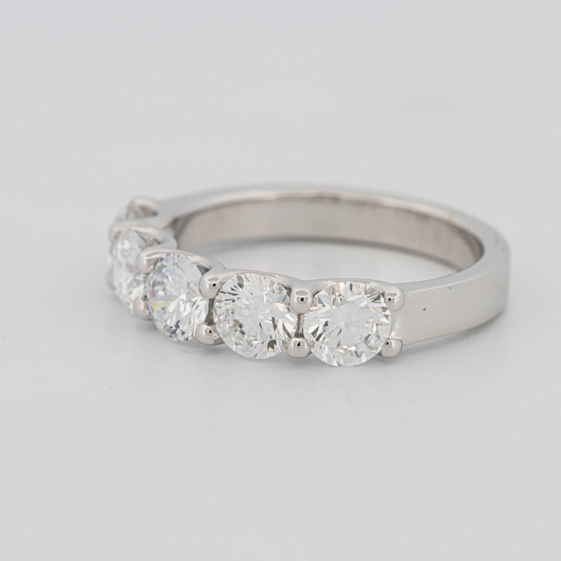 5 Half Round Floating Eternity Ring (LG) - ZIZOV DIAMONDS