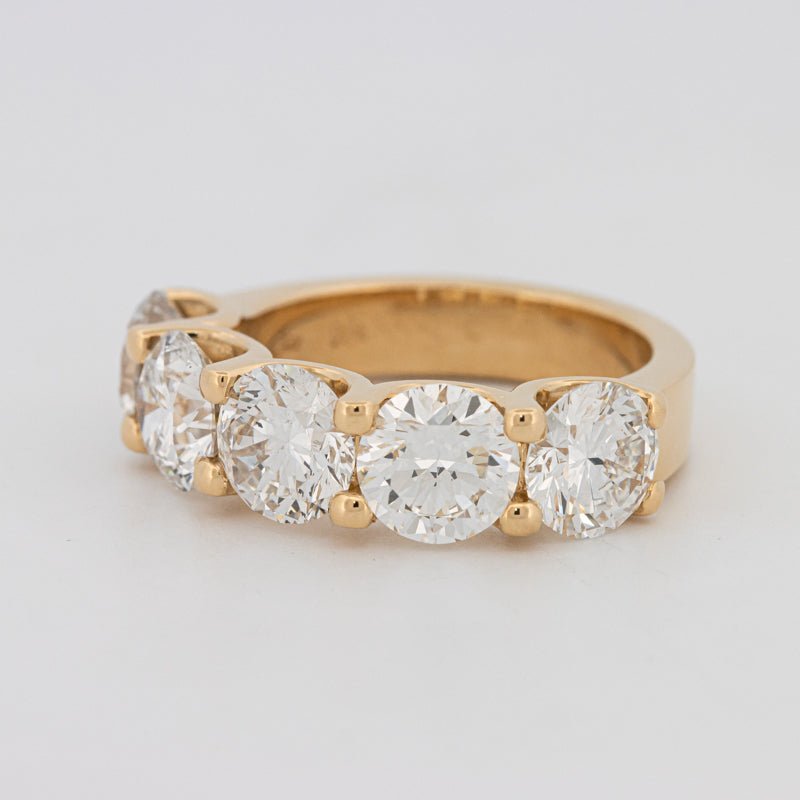 5 Half Round Floating Eternity Ring (LG) - ZIZOV DIAMONDS