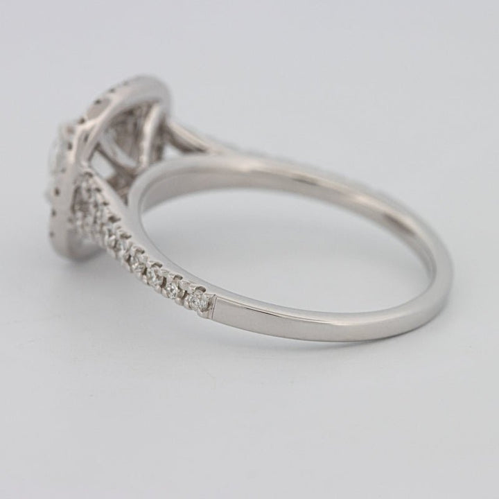 "Bella" Halo Solitaire (medium) - ZIZOV DIAMONDS