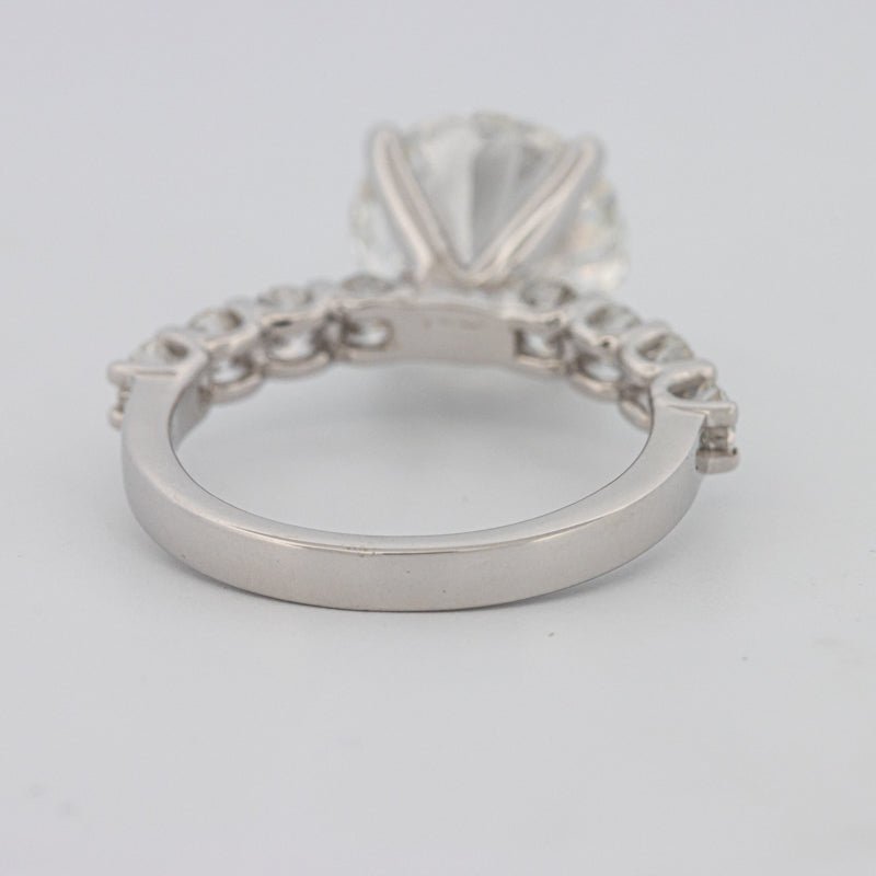 "Eydís" Solitaire Pavé (LG) - ZIZOV DIAMONDS