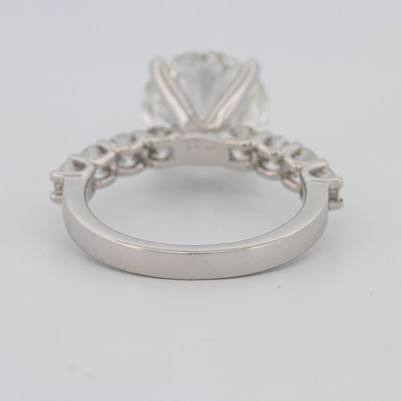 "Eydís" Solitaire Pavé (LG) - ZIZOV DIAMONDS